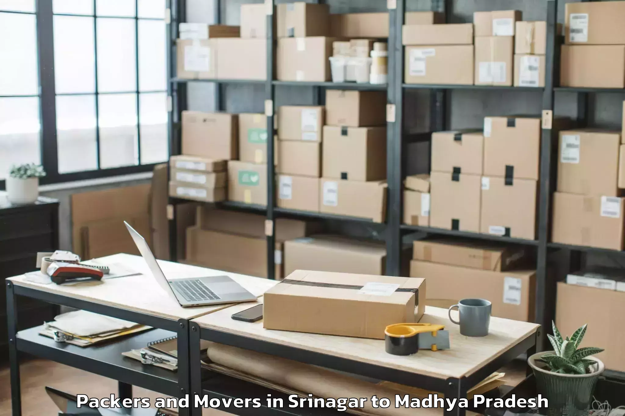 Professional Srinagar to Buxwaha Packers And Movers